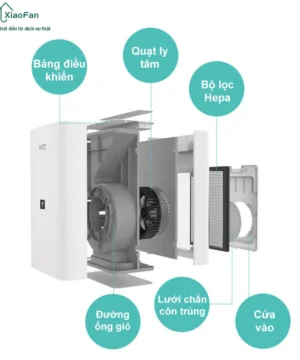 Cấu tạo bên trong máy cấp khí tươi máy MATE A1