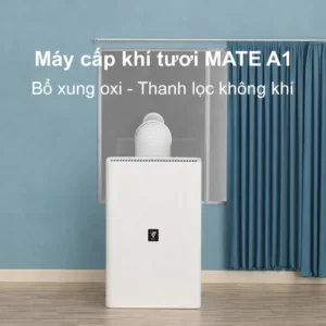 Máy cấp khí tươi Mate A1 lắp đặt trong phòng