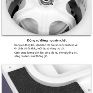 dong-co-dong-nguyen-chat-may-hut-mui-tran-ben-bi-yen-tinh