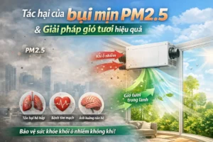 Bụi mịn PM2.5 gây ảnh hưởng nghiêm trọng đến hệ hô hấp và tim mạch