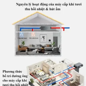 Sơ đồ nguyên lý hoạt động của máy cấp khí tươi thu hồi nhiệt và hút ẩm CS-XFCS