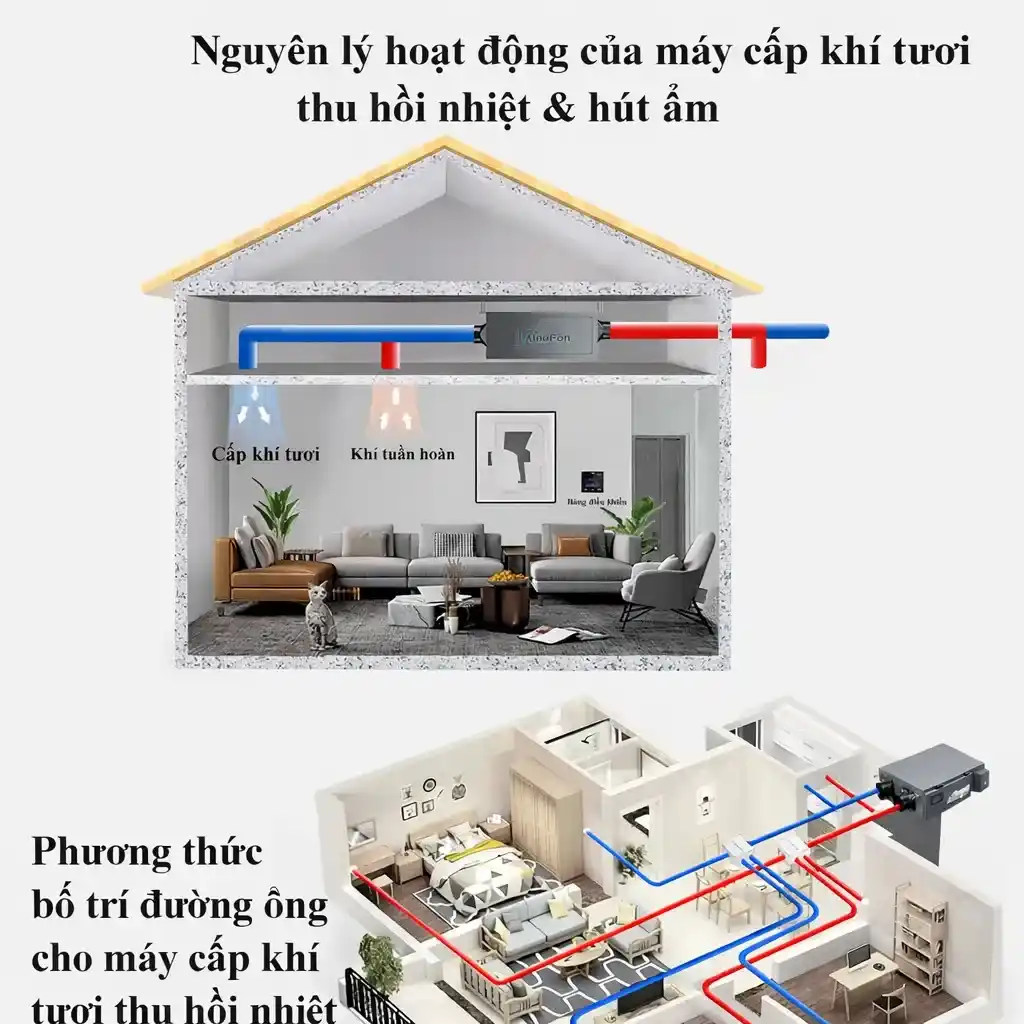 Sơ đồ nguyên lý hoạt động của máy cấp khí tươi thu hồi nhiệt và hút ẩm CS-XFCS